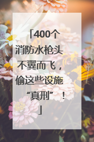 400个消防水枪头不翼而飞，偷这些设施“真刑”！